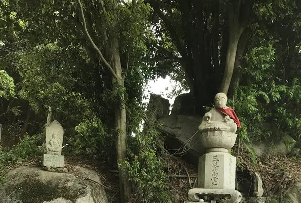 長尾寺の写真・動画_image_573990