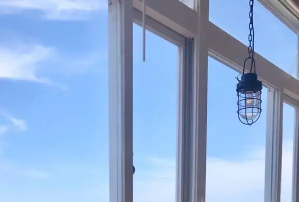 BUSHの写真・動画_image_574412