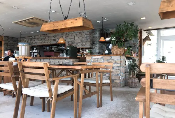 BUSHの写真・動画_image_574414