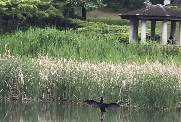 もえぎ野公園の写真・動画_image_574935