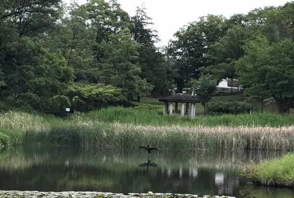 もえぎ野公園の写真・動画_image_574936