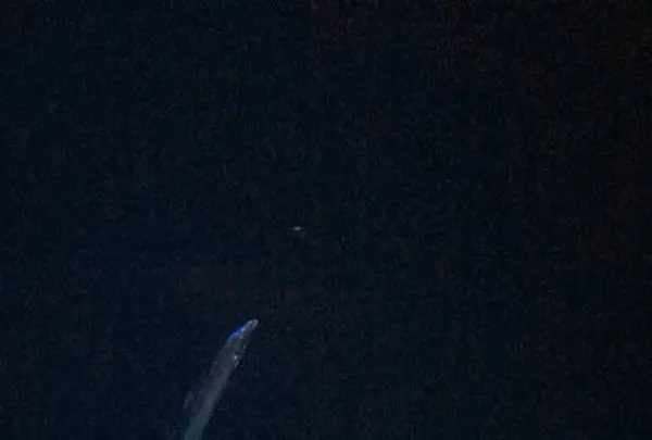 大分マリーンパレス水族館 うみたまごの写真・動画_image_575016