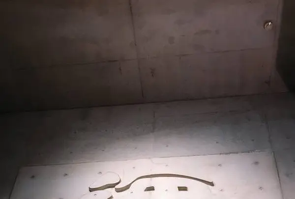 大分マリーンパレス水族館 うみたまごの写真・動画_image_575019