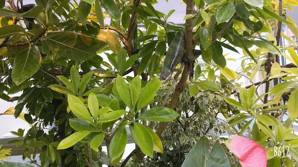 大分マリーンパレス水族館 うみたまごの写真・動画_image_575022