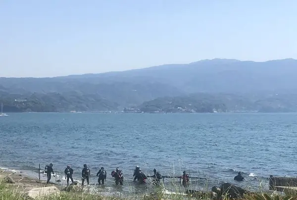 タムタムギャラリーの写真・動画_image_576224