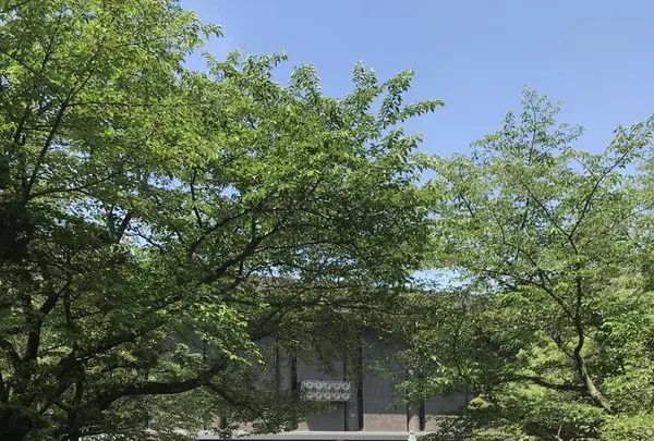 香園寺の写真・動画_image_576468