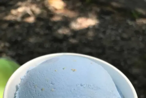 湯沢高原パノラマパーク ロープウェイ／アルプの里の写真・動画_image_576481