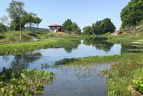 湯沢高原パノラマパーク ロープウェイ／アルプの里の写真・動画_image_576482