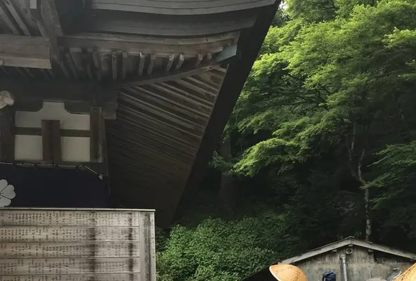 横峰寺の写真・動画_image_576650