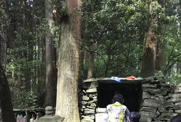 横峰寺の写真・動画_image_576652