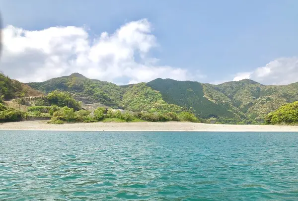 四万十川の写真・動画_image_576840