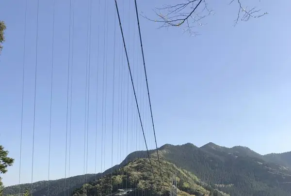 綾の照葉大吊橋の写真・動画_image_577158