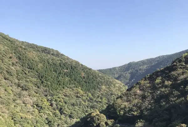 綾の照葉大吊橋の写真・動画_image_577159