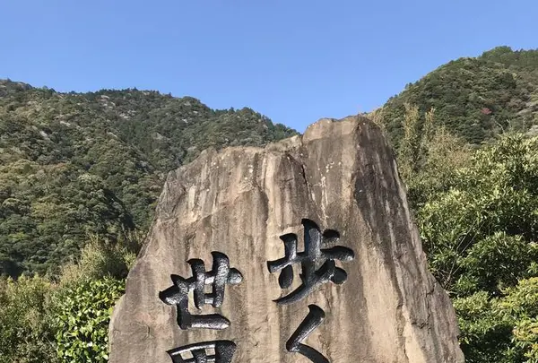 綾の照葉大吊橋の写真・動画_image_577161