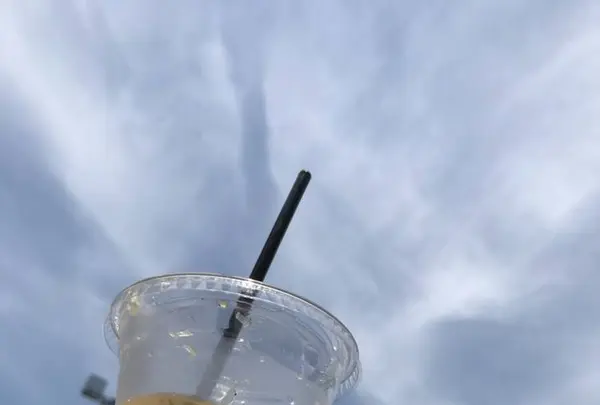 つくばセンター広場の写真・動画_image_577505