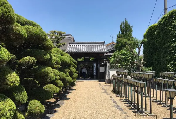 金剛寺の写真・動画_image_577735