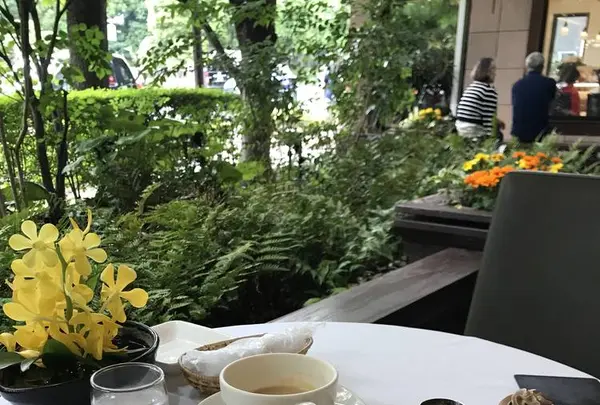 ウエスト青山ガーデン（WEST AOYAMA GARDEN）の写真・動画_image_577765