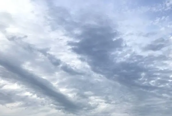 イスタンブルの写真・動画_image_577767