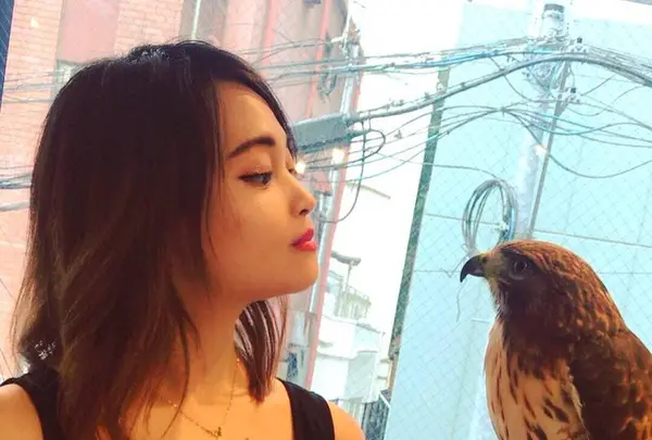 フクロウのお庭の写真・動画_image_578389