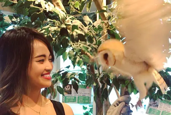 フクロウのお庭の写真・動画_image_578390