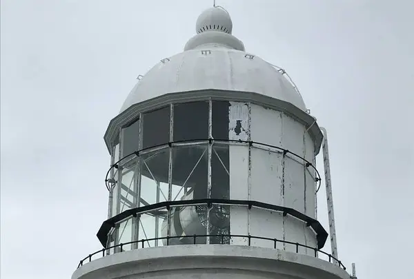 都井岬の写真・動画_image_579139