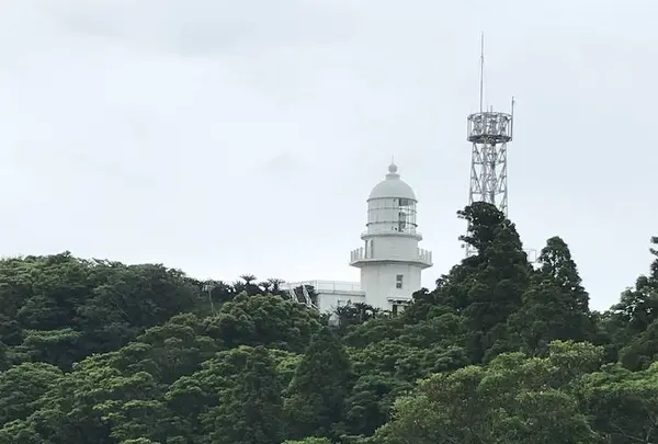 都井岬の写真・動画_image_579142