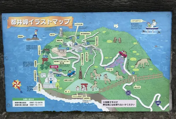 都井岬の写真・動画_image_579145