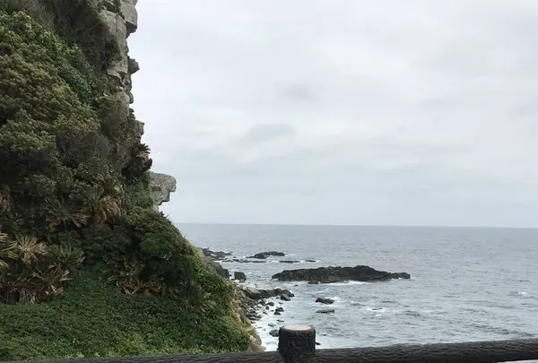 都井岬の写真・動画_image_579146