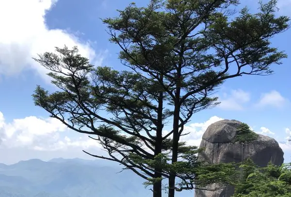 瑞牆山の写真・動画_image_579232