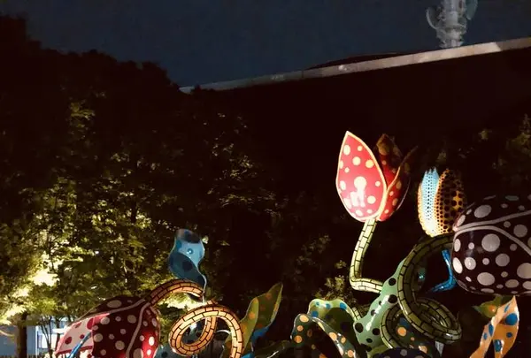 松本市美術館の写真・動画_image_584803