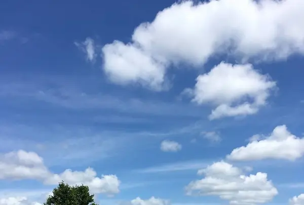 農園リゾート THE FARMの写真・動画_image_584986