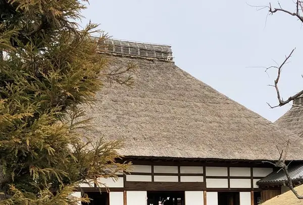 史跡足利学校の写真・動画_image_586721