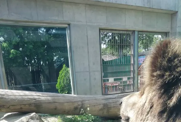 東武動物公園の写真・動画_image_586765