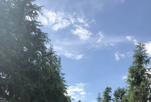 ユニバーサル・スタジオ・ジャパン／Universal Studios Japan／USJの写真・動画_image_588084