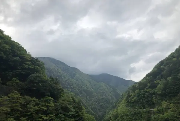 寸又峡の写真・動画_image_588820