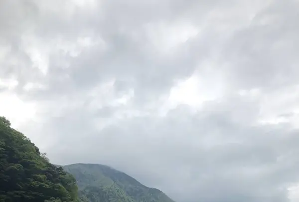 寸又峡の写真・動画_image_588821