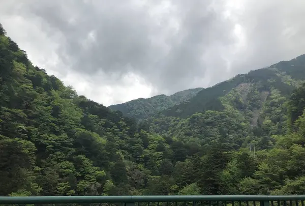 寸又峡の写真・動画_image_588823