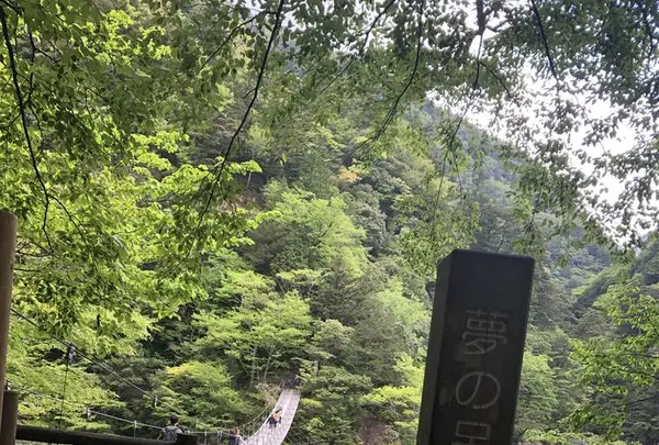 寸又峡の写真・動画_image_588826