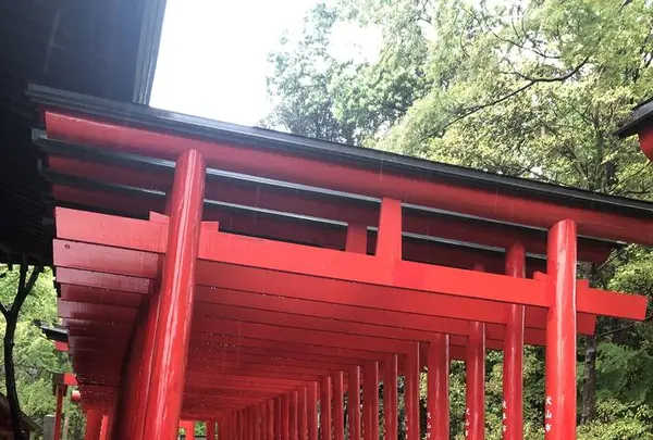 犬山城下町の写真・動画_image_588950