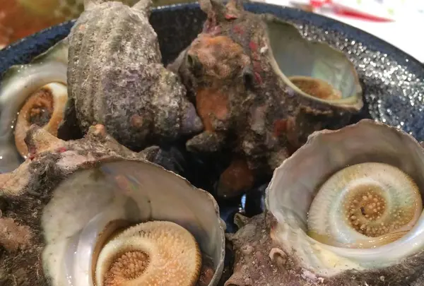 呑み処 ぶらっとの写真・動画_image_596750