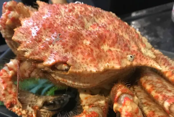 呑み処 ぶらっとの写真・動画_image_596759