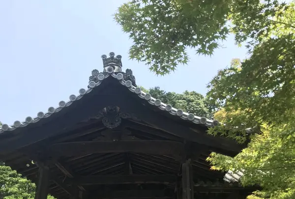 東福寺の写真・動画_image_599081