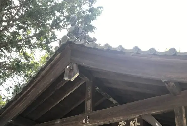 東福寺の写真・動画_image_599084