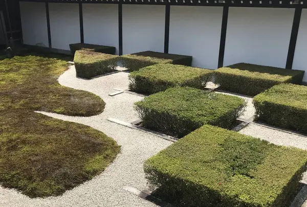 東福寺の写真・動画_image_599087
