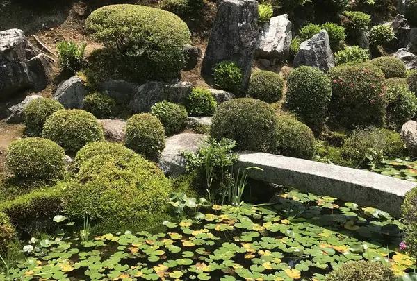 東福寺の写真・動画_image_599088