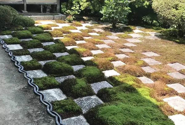 東福寺の写真・動画_image_599089