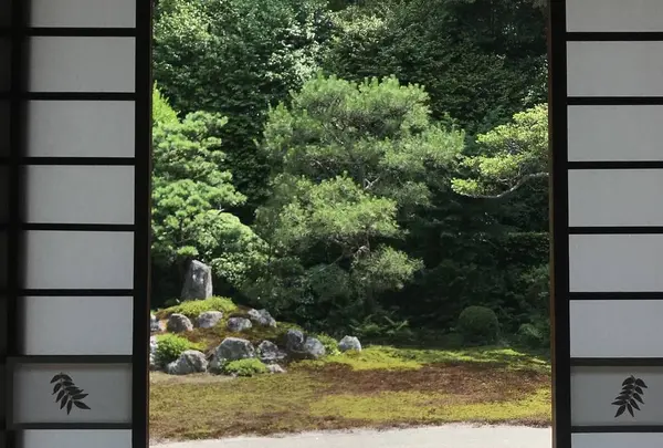 芬陀院の写真・動画_image_599167