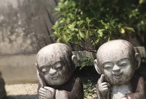 霊雲院の写真・動画_image_599179