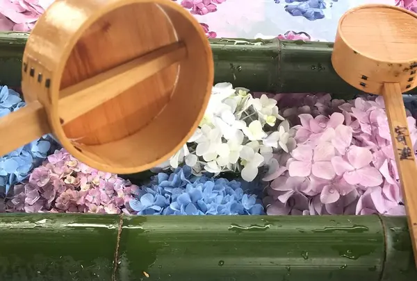 柳谷観音(楊谷寺）の写真・動画_image_599235