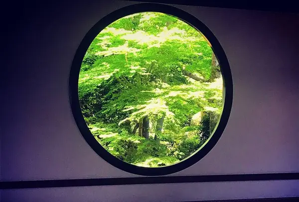 源光庵の写真・動画_image_599569